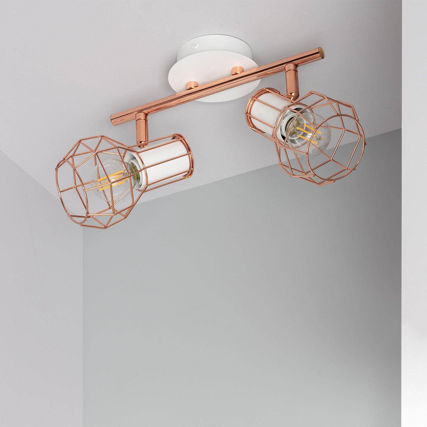 Plafonnier Orientable 2 Spots en Aluminium, IP20, 20W, Intérieur