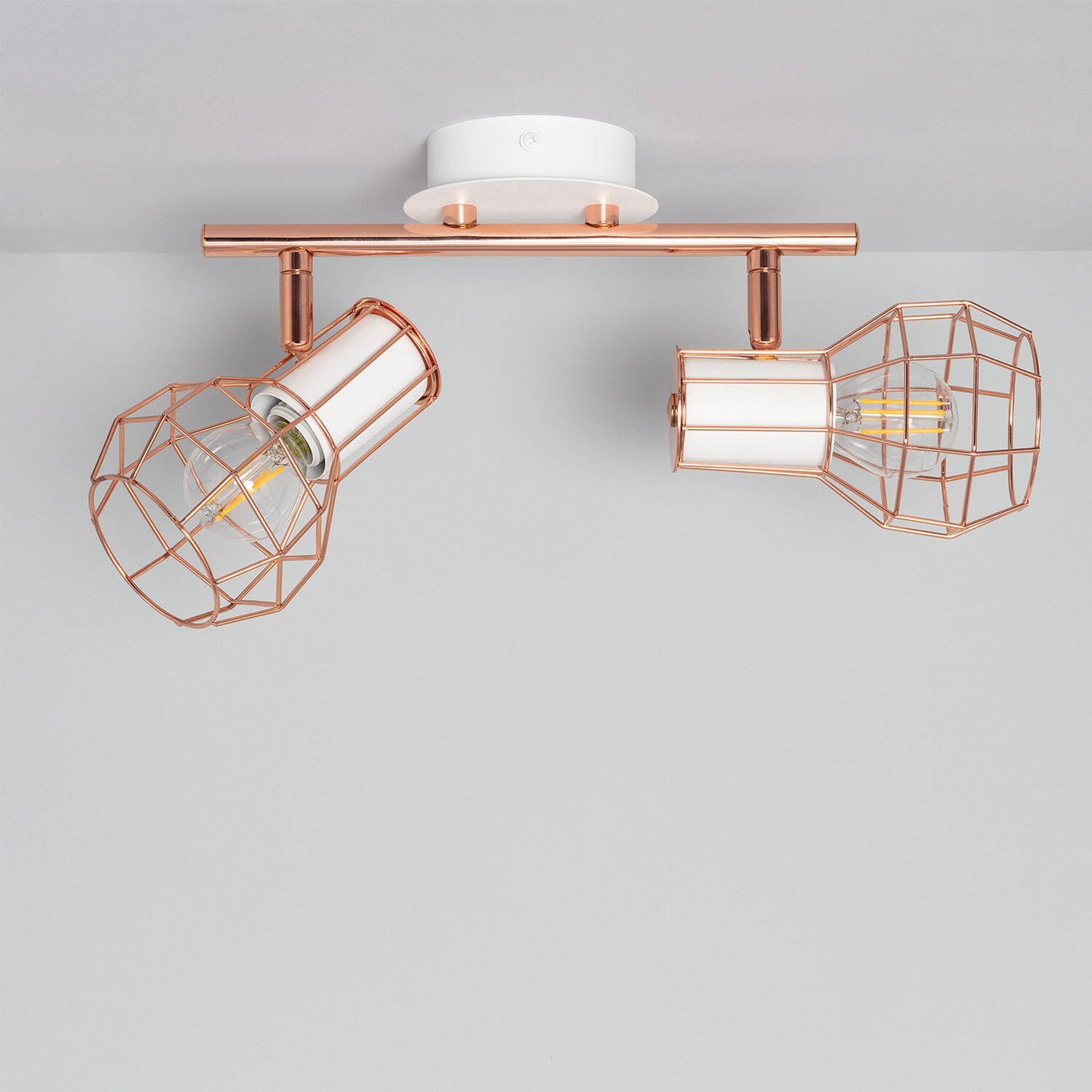 Plafonnier Orientable 2 Spots en Aluminium, IP20, 20W, Intérieur