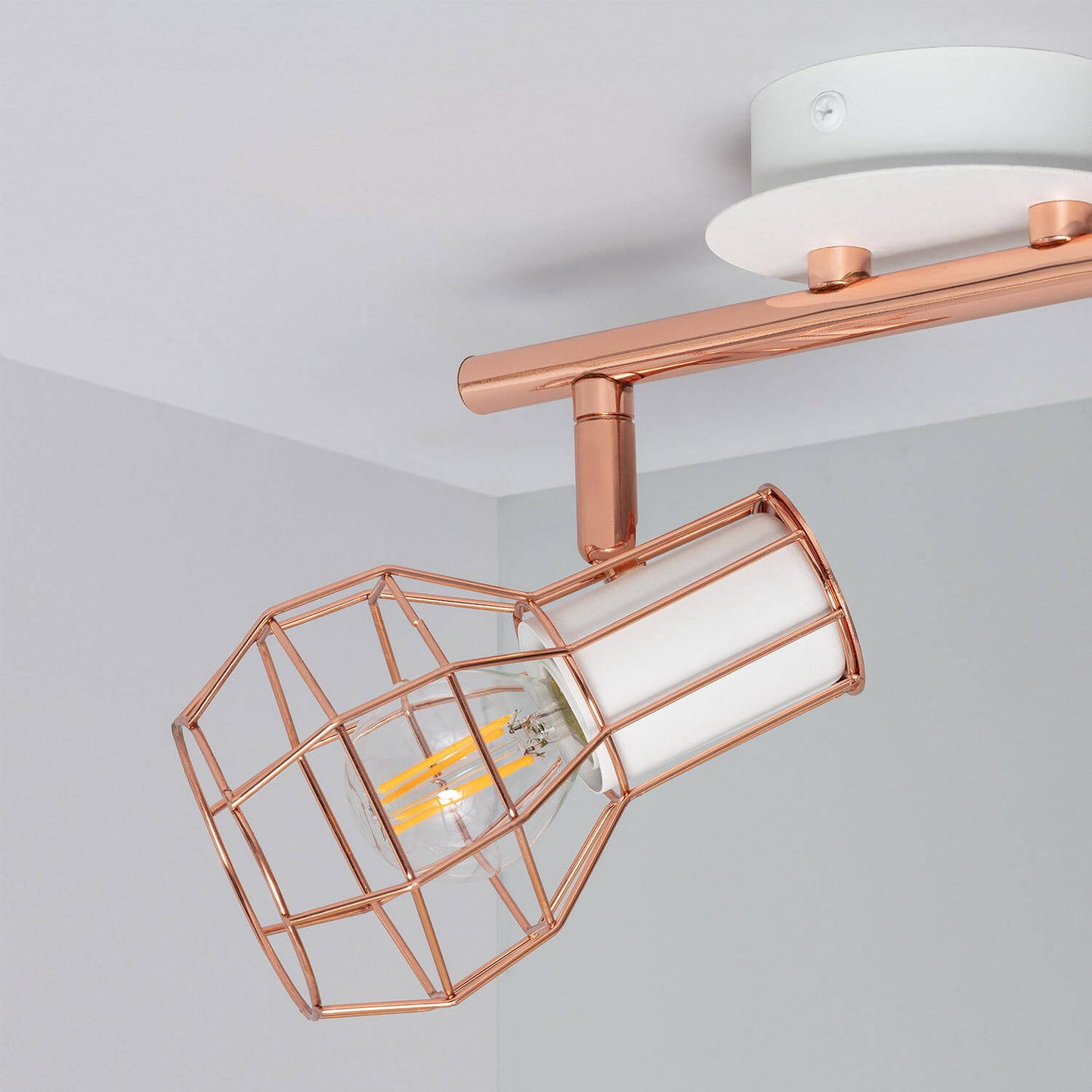 Plafonnier Orientable 2 Spots en Aluminium, IP20, 20W, Intérieur