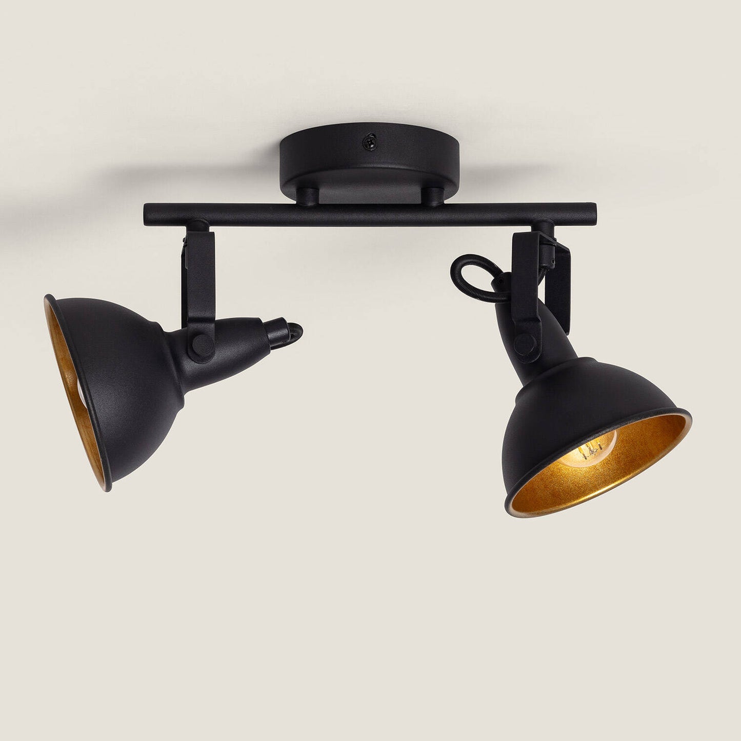 Plafonnier Orientable 2 Spots Noir, IP20, 20W, Installation en Saillie