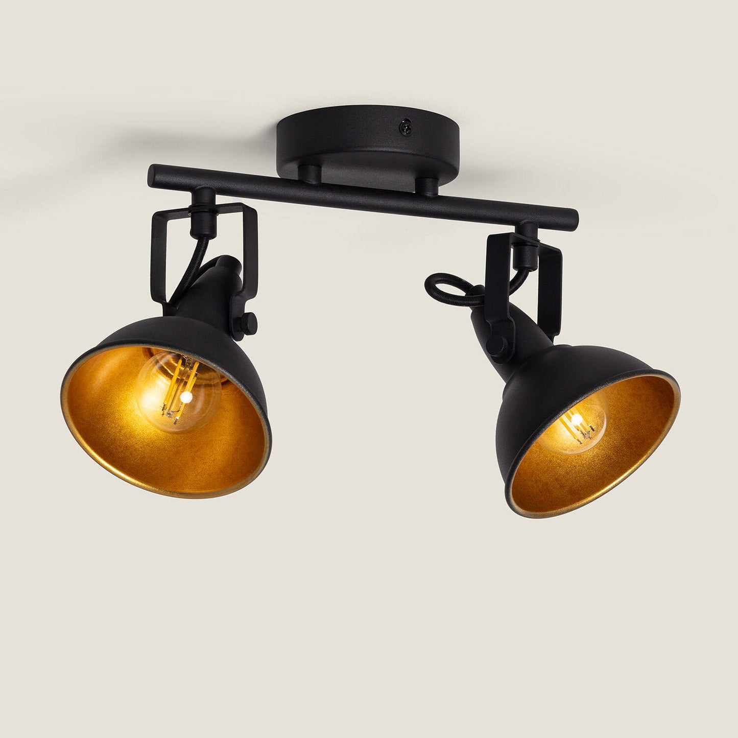 Plafonnier Orientable 2 Spots Noir, IP20, 20W, Installation en Saillie
