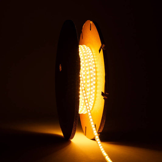 Ruban LED SMD2025 220V AC, 12W/m, IP65, Découpable, Extérieur et Intérieur