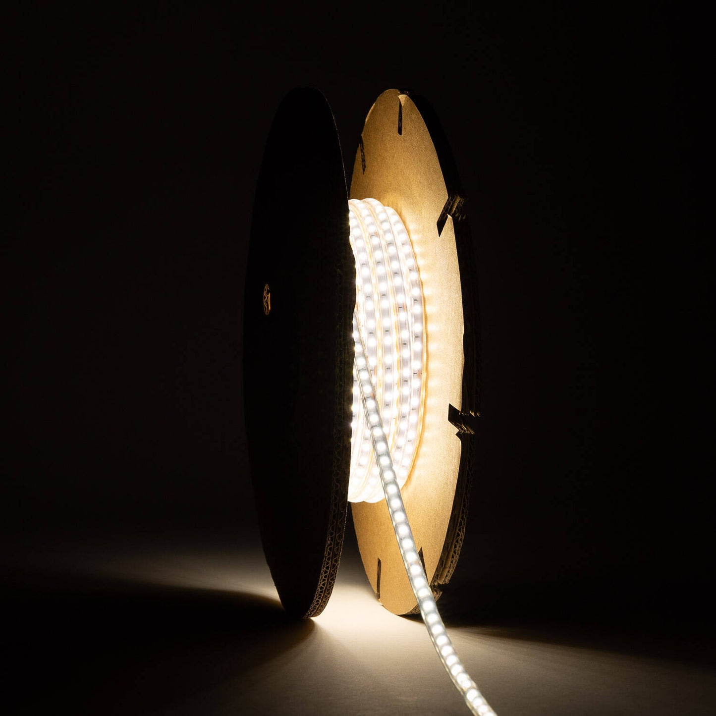 Ruban LED SMD2025 220V AC, 12W/m, IP65, Découpable, Extérieur et Intérieur