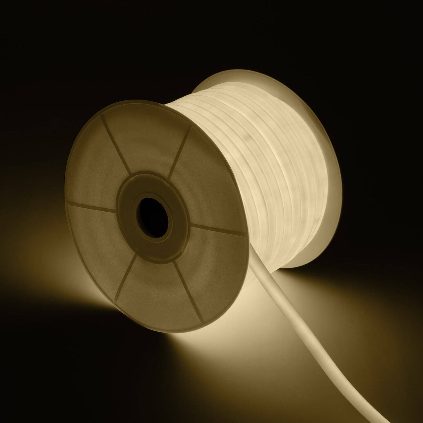 Néon LED Flexible 360º Dimmable 9W/m IP67 Extérieur 50m