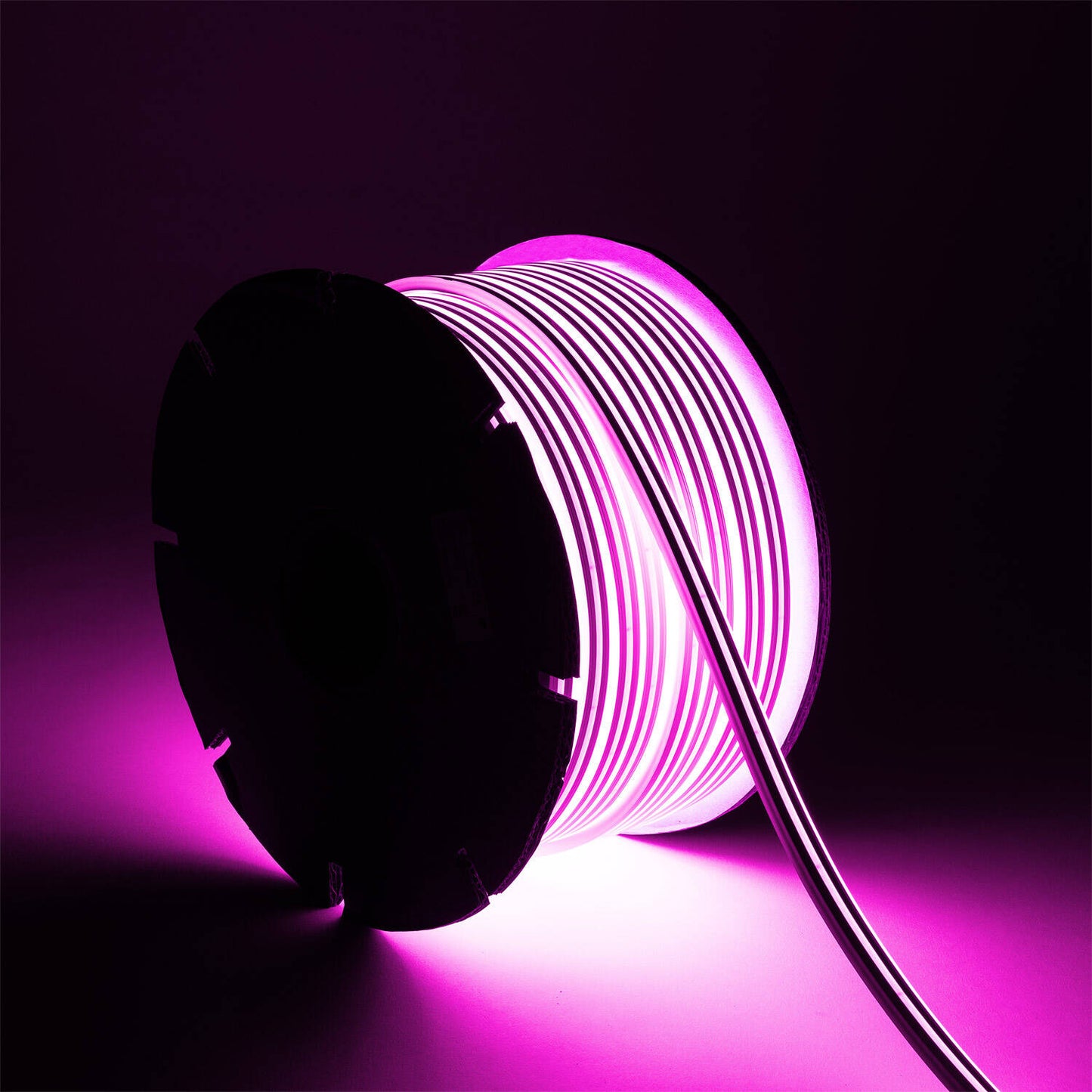 Néon LED Flexible 24V, 8W/m, IP65, Dimmable, Usage Intérieur et Extérieur