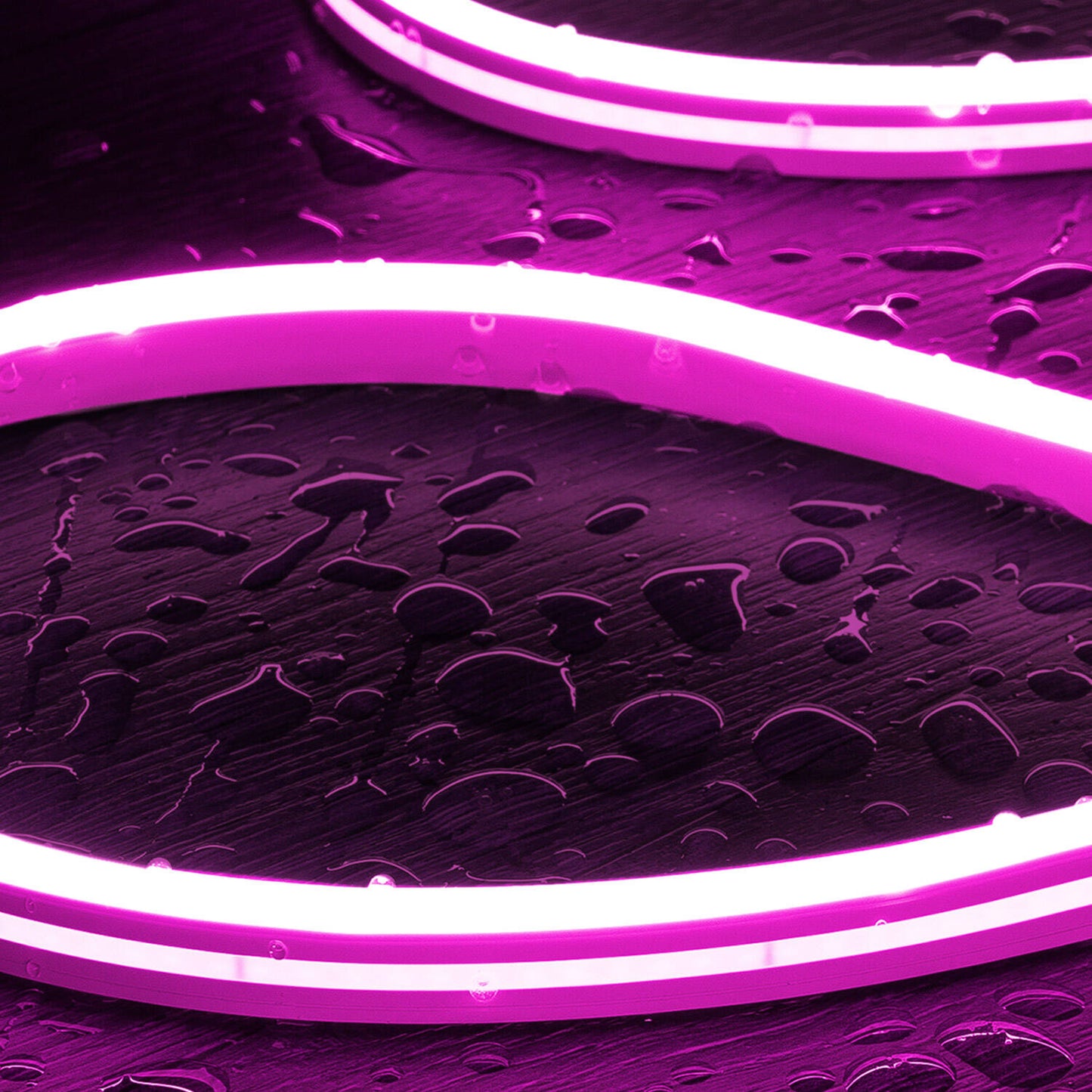 Néon LED Flexible 24V, 8W/m, IP65, Dimmable, Usage Intérieur et Extérieur