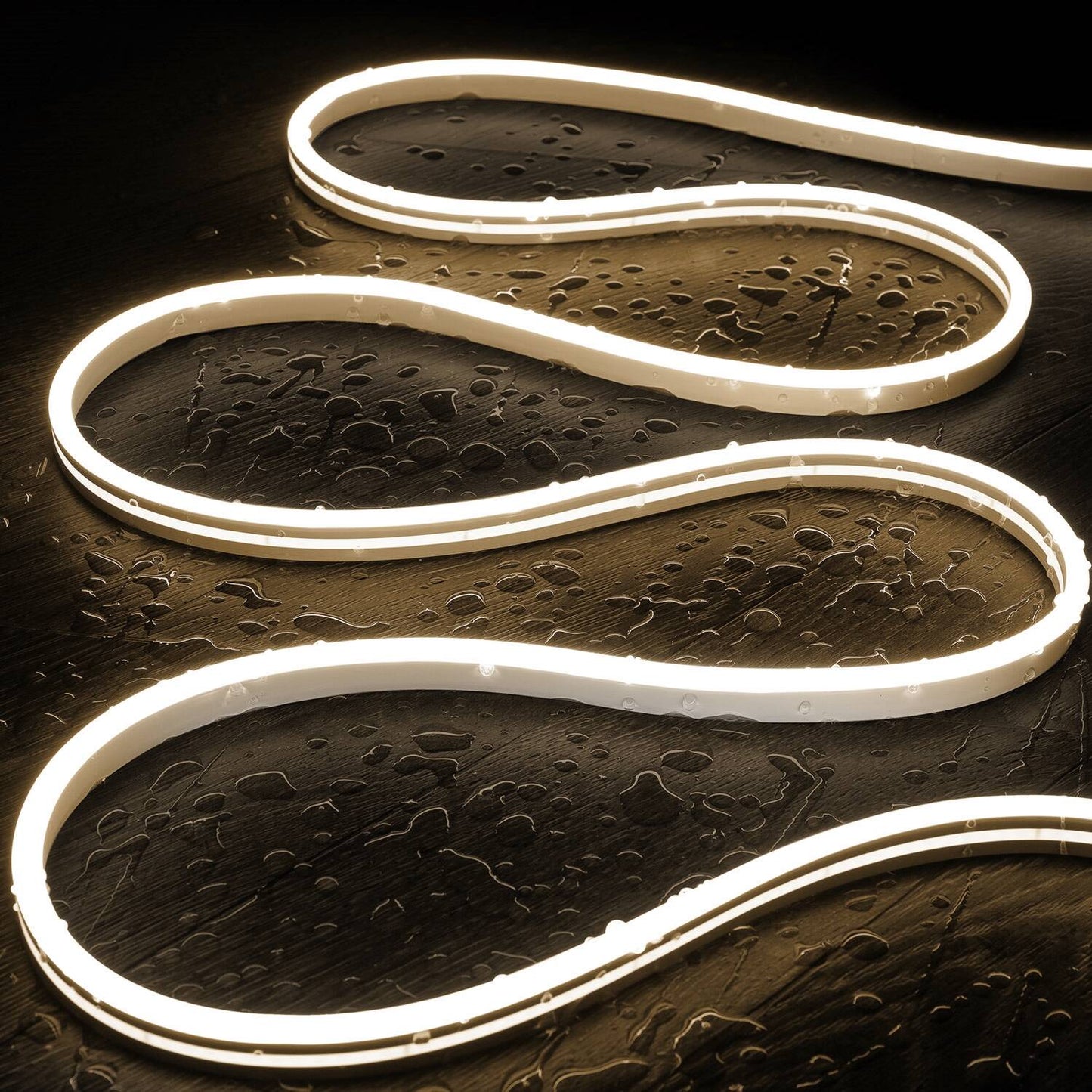 Néon LED Flexible 24V, 8W/m, IP65, Dimmable, Usage Intérieur et Extérieur