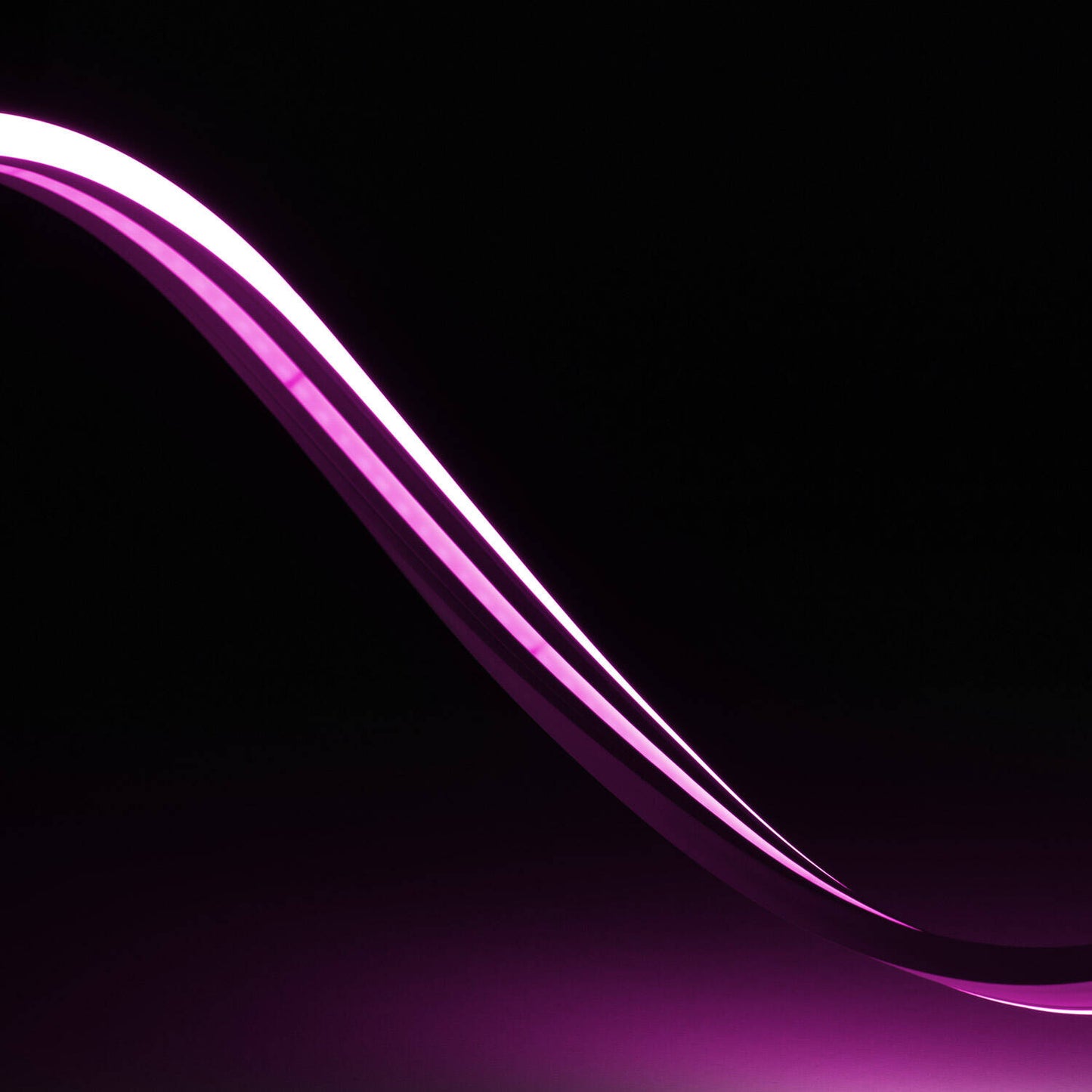Néon LED Flexible 24V, 8W/m, IP65, Dimmable, Usage Intérieur et Extérieur