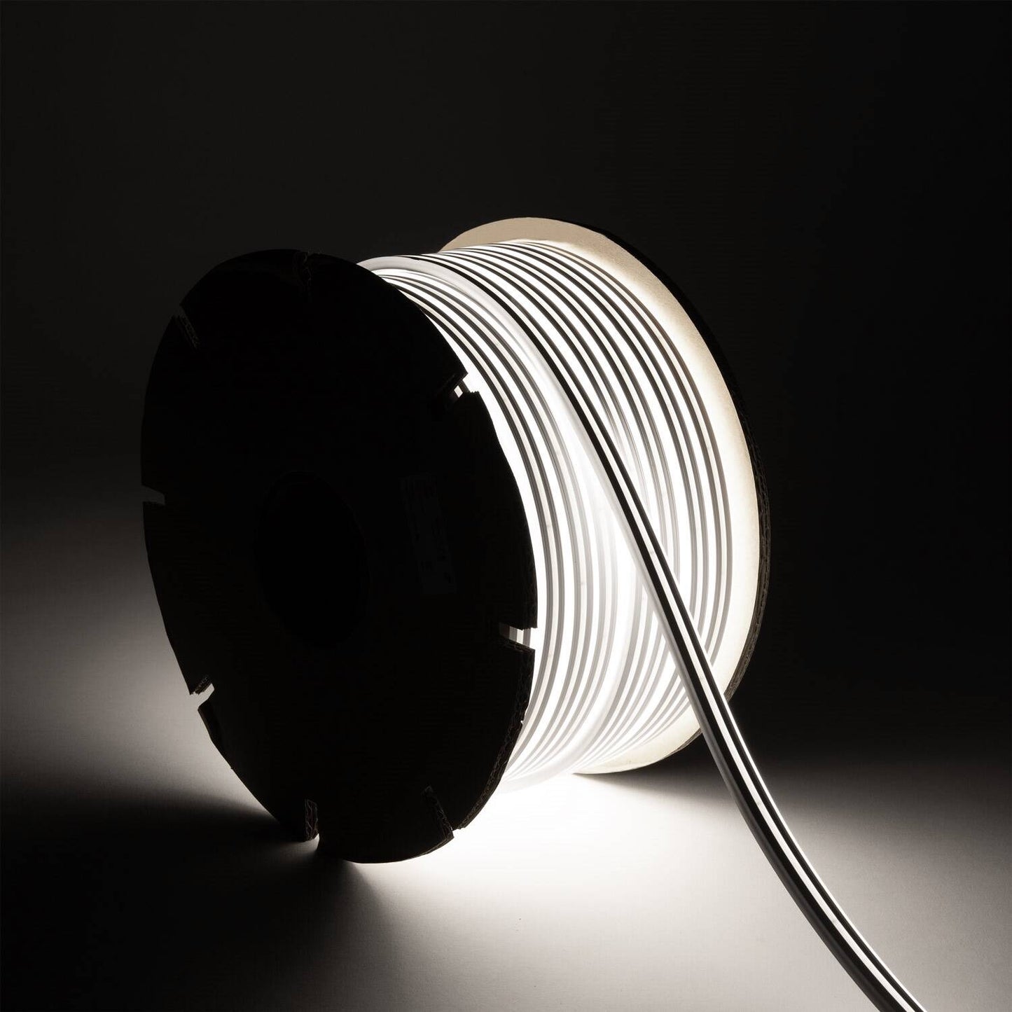 Néon LED Flexible 24V, 8W/m, IP65, Dimmable, Usage Intérieur et Extérieur
