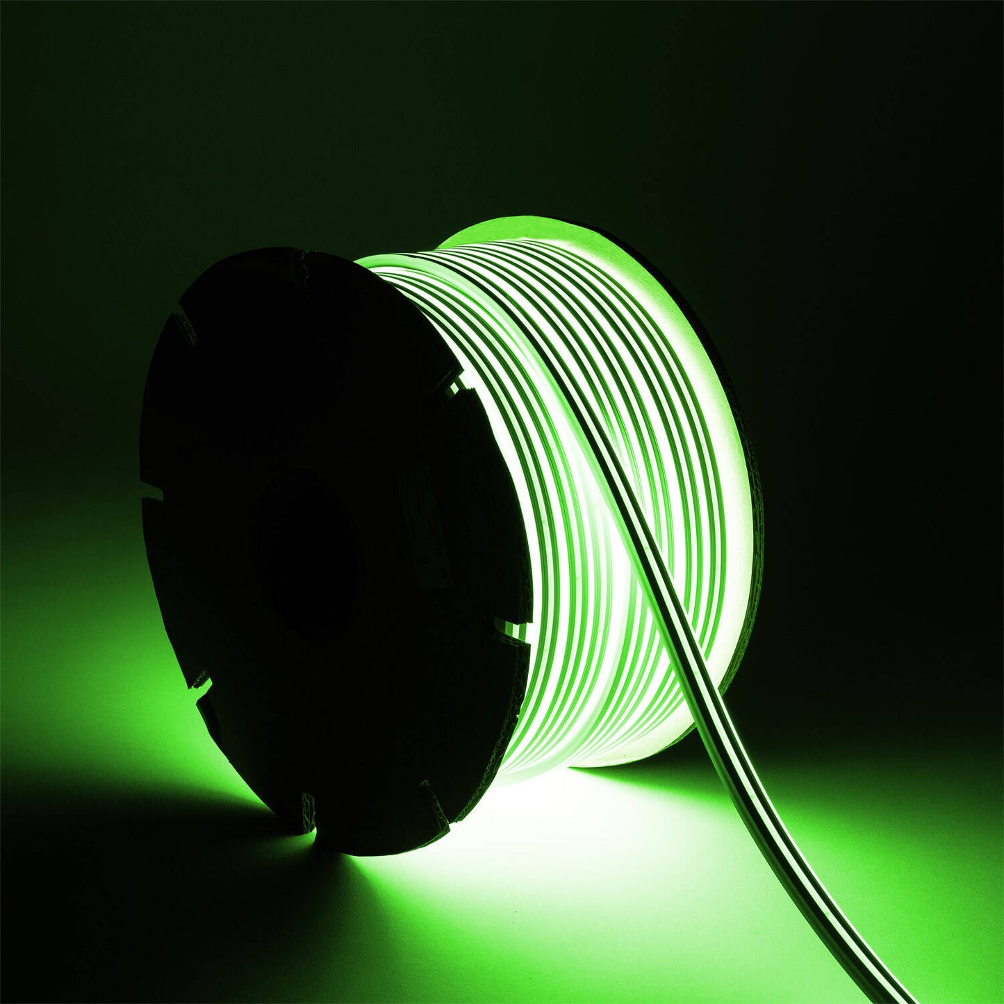 Néon LED Flexible 24V, 8W/m, IP65, Dimmable, Usage Intérieur et Extérieur