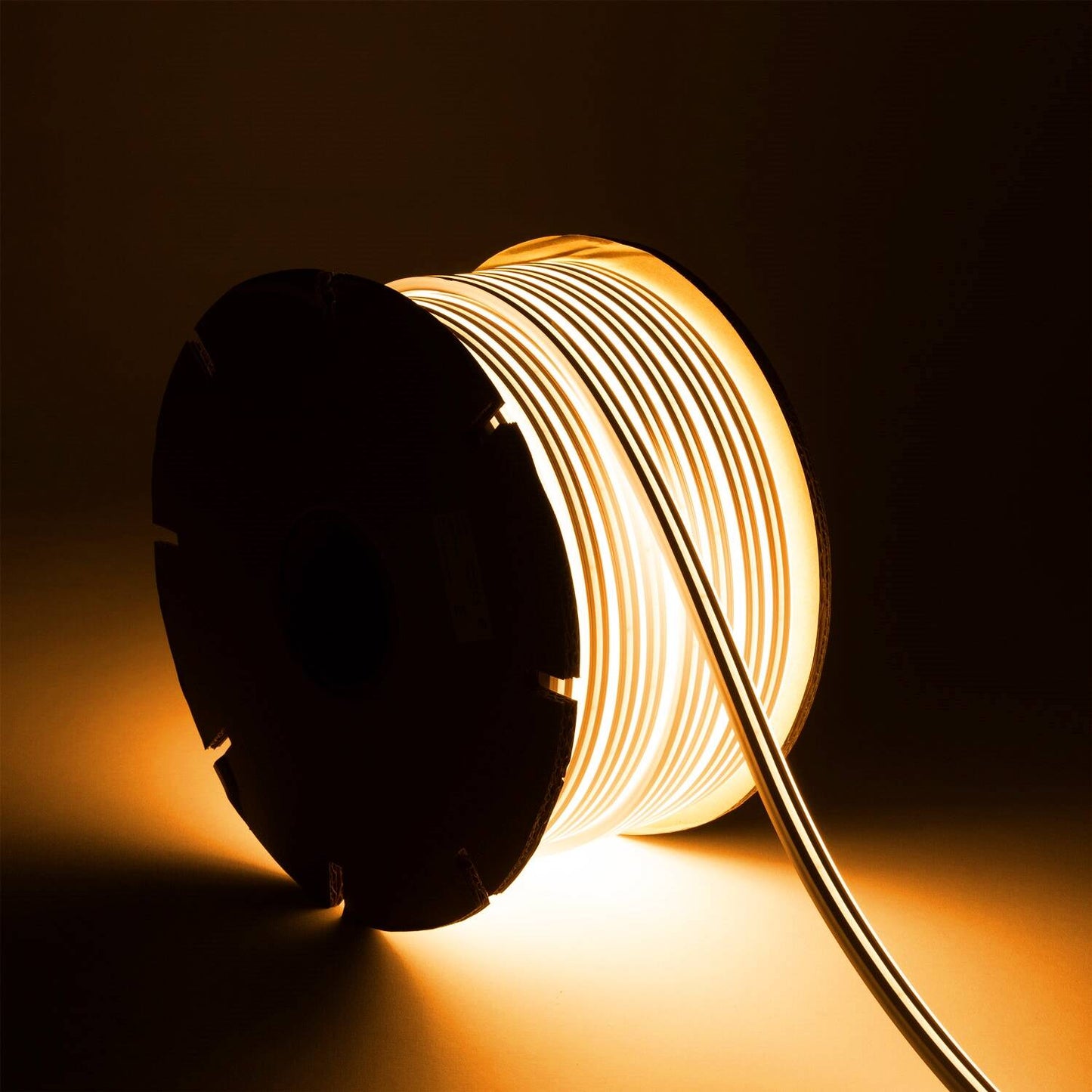 Néon LED Flexible 24V, 8W/m, IP65, Dimmable, Usage Intérieur et Extérieur