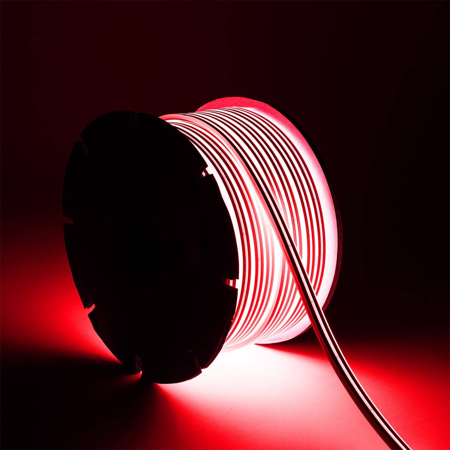 Néon LED Flexible 24V, 8W/m, IP65, Dimmable, Usage Intérieur et Extérieur