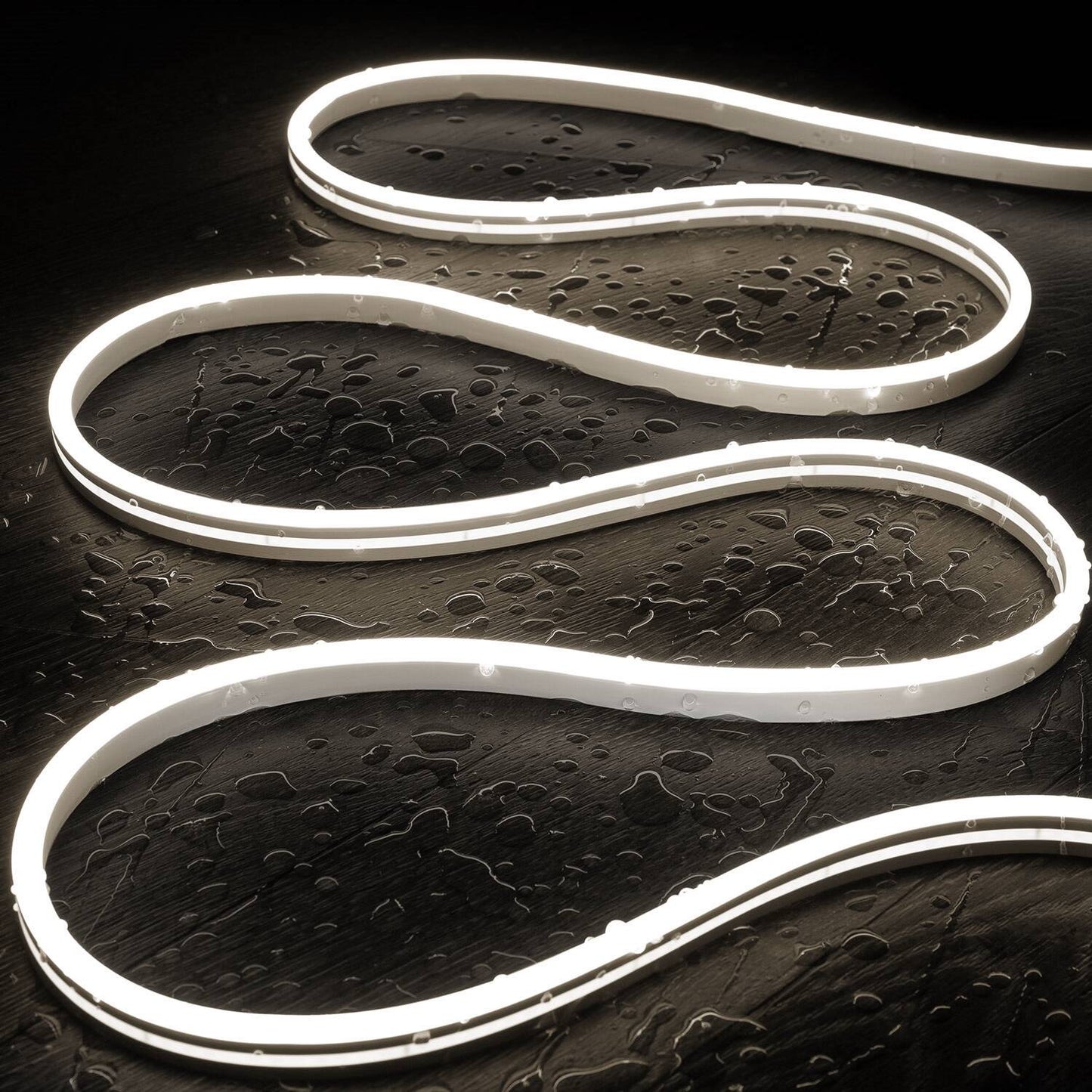 Néon LED Flexible 24V, 8W/m, IP65, Dimmable, Usage Intérieur et Extérieur