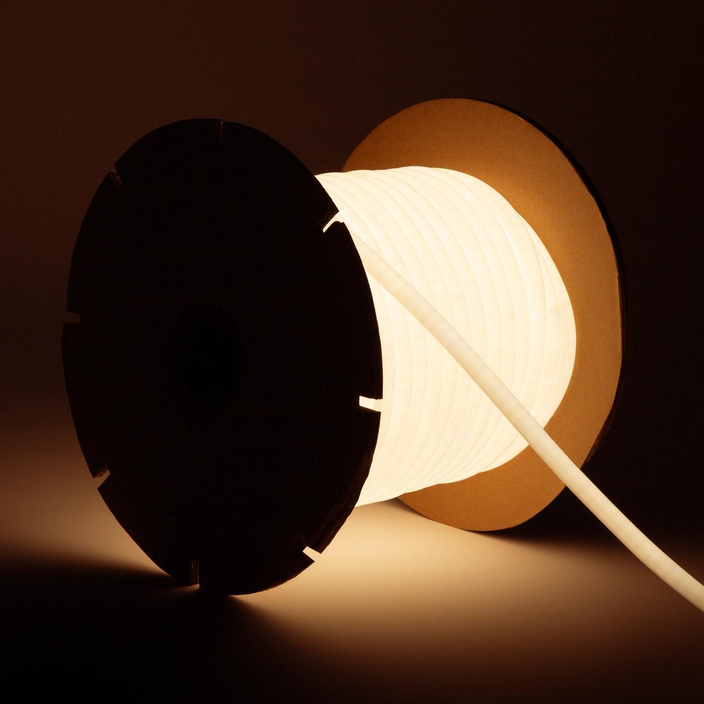 Néon LED Circulaire Dimmable 8W/m 50m IP65 Extérieur/Intérieur