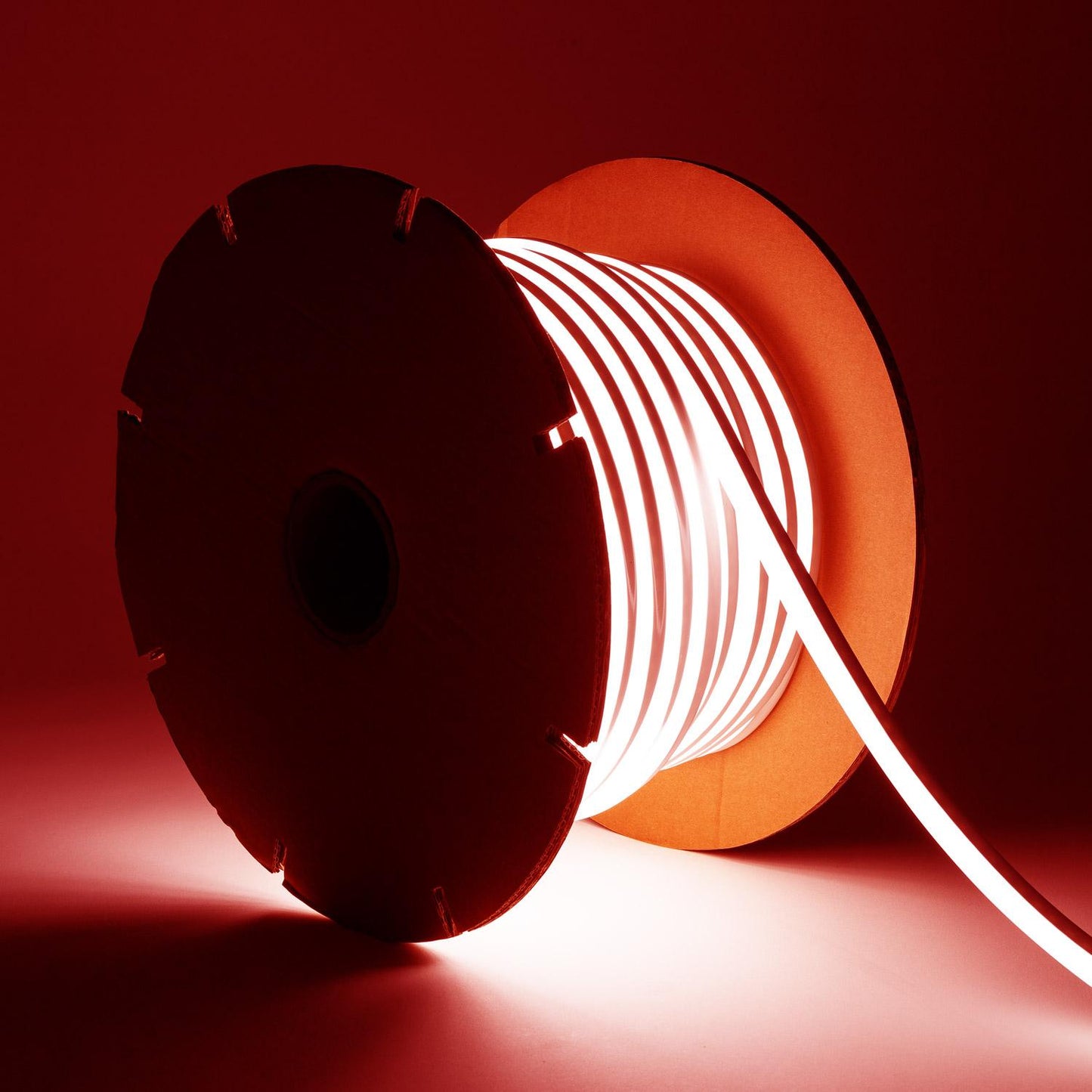 Ruban Néon LED Dimmable 50m IP65, Extérieur/Intérieur, Découpe 100 cm