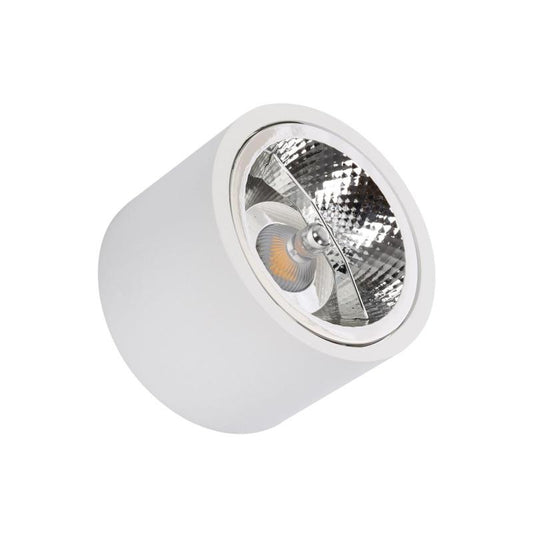 Spot LED 12W AR111 en Saillie Ø 80 mm IP20