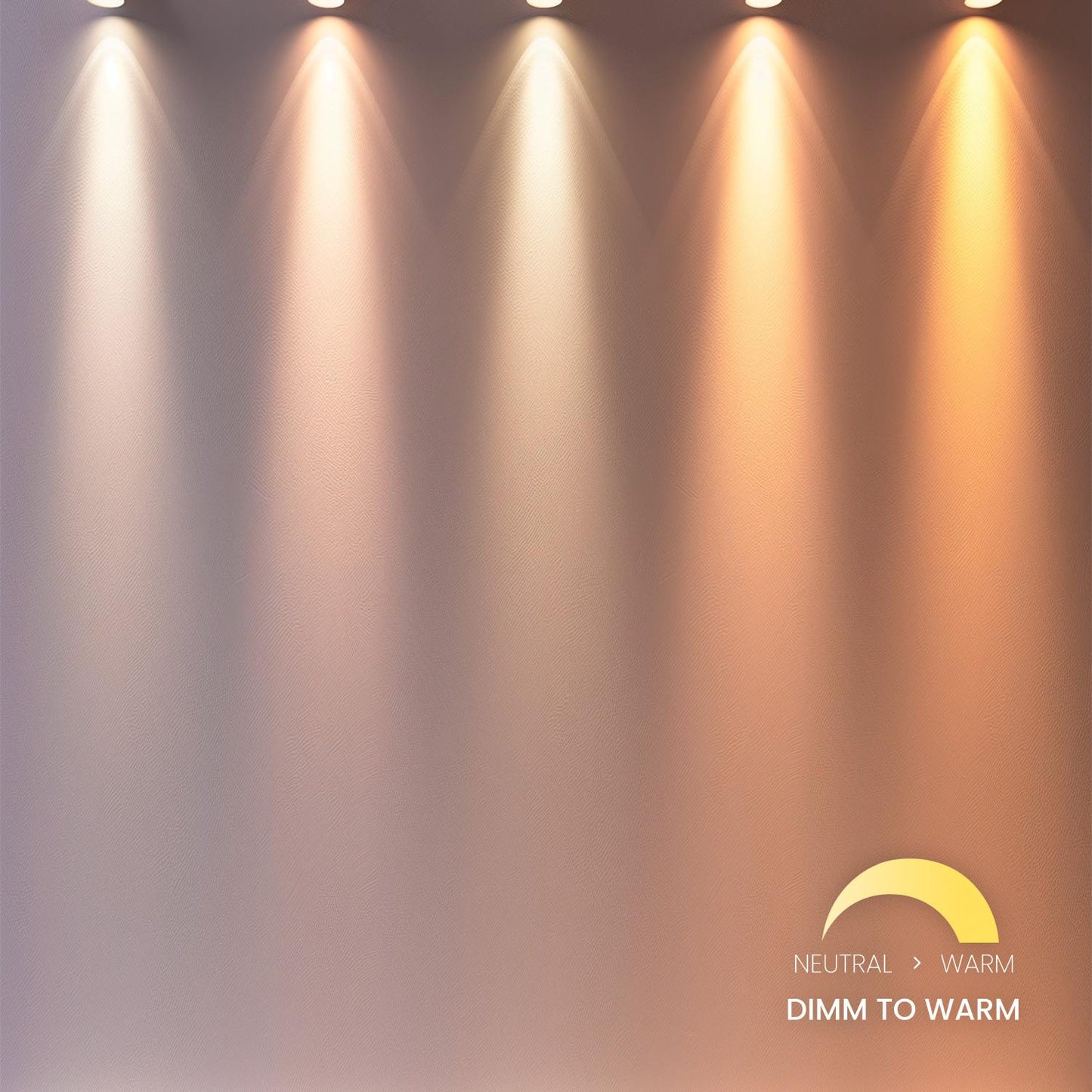 Spot LED sur Rail Triphasé 15W Justin, Dimmable, IP20, Orientable