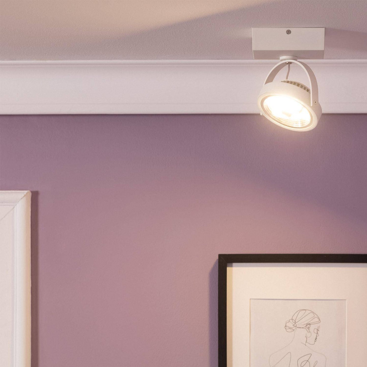 Spot LED Orientable 15W CREE AR111 en Saillie Dimmable IP20
