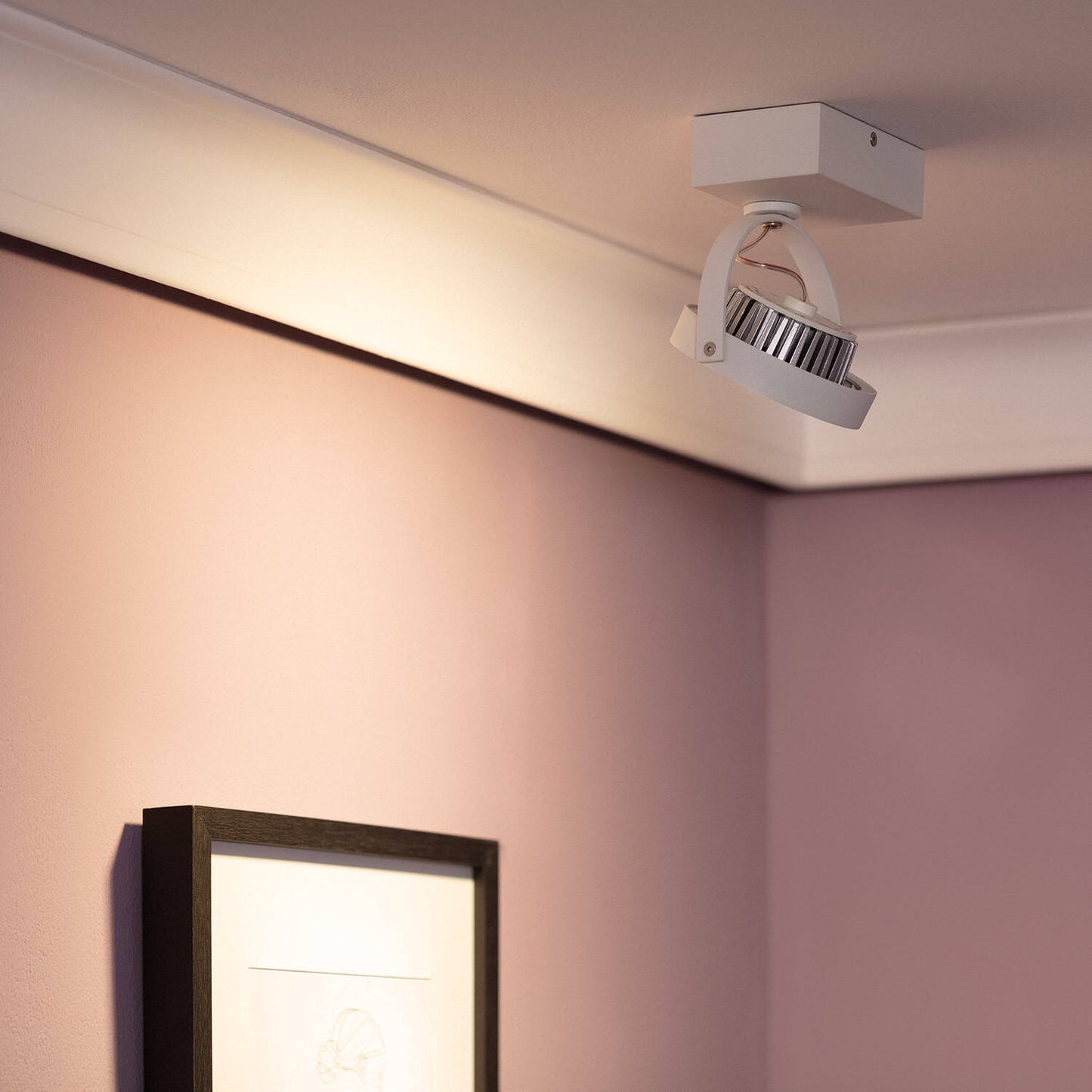 Spot LED Orientable 15W CREE AR111 en Saillie Dimmable IP20