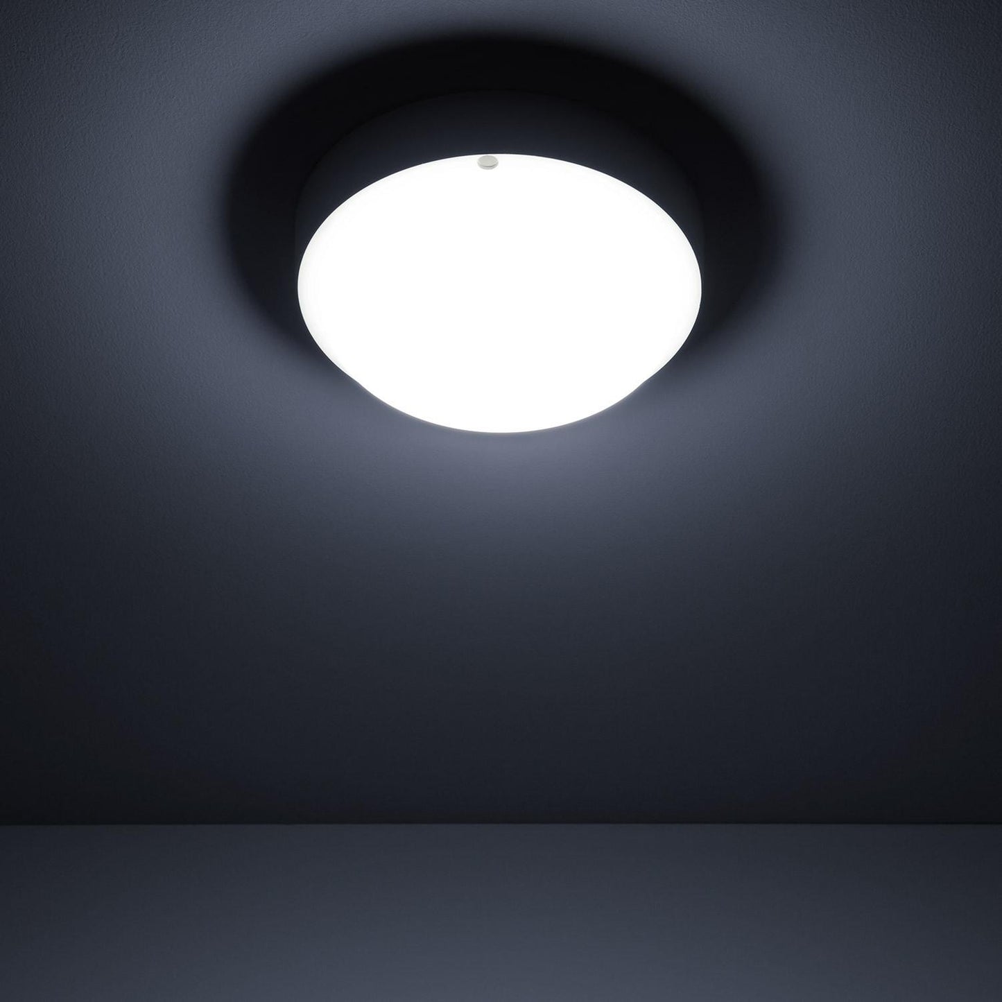 Plafonnier LED Rond 15W IP65 Ø155 mm pour Extérieur