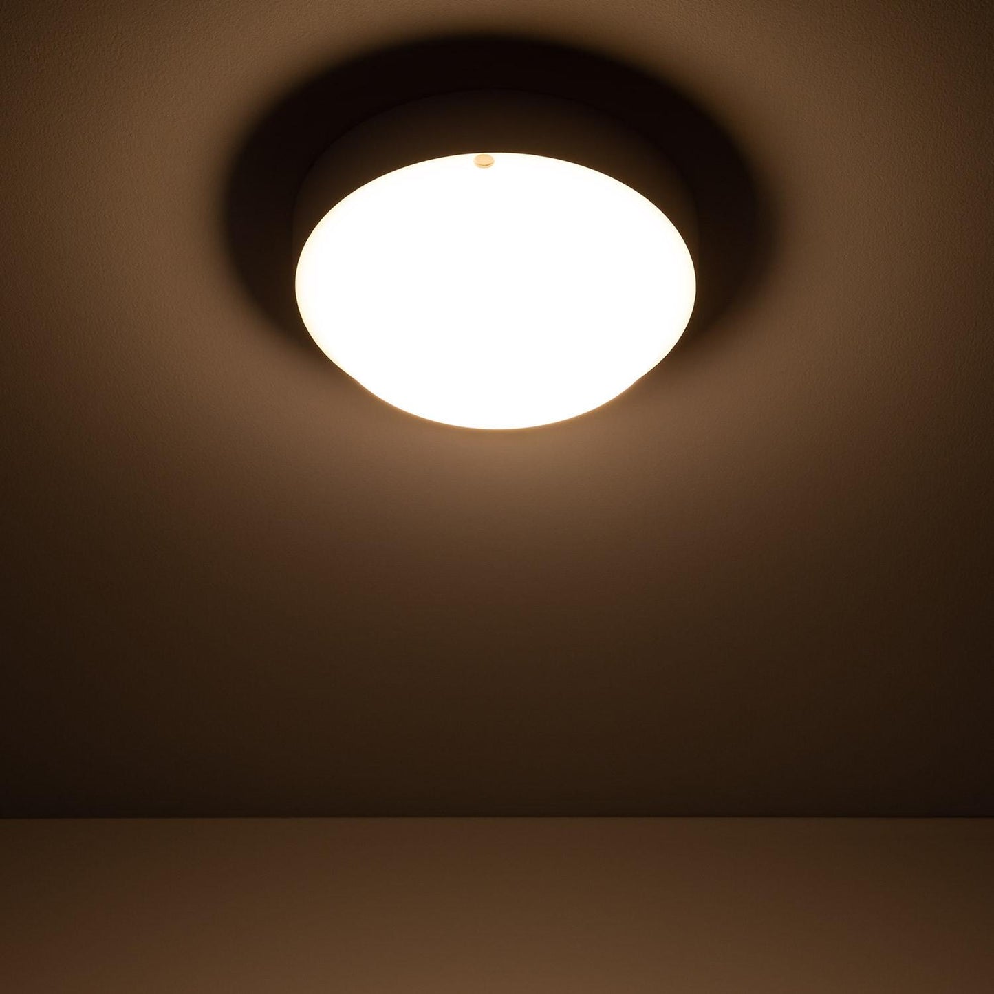 Plafonnier LED Rond 15W IP65 Ø155 mm pour Extérieur