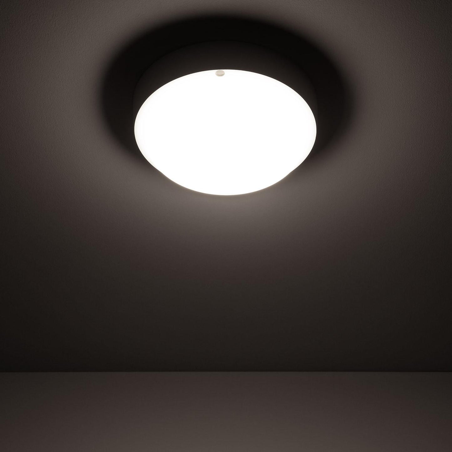 Plafonnier LED Rond 15W IP65 Ø155 mm pour Extérieur