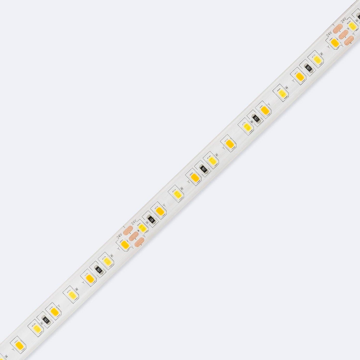 Ruban LED 24V 10W/m 60LED/m 5m IP65 Extérieur/Intérieur