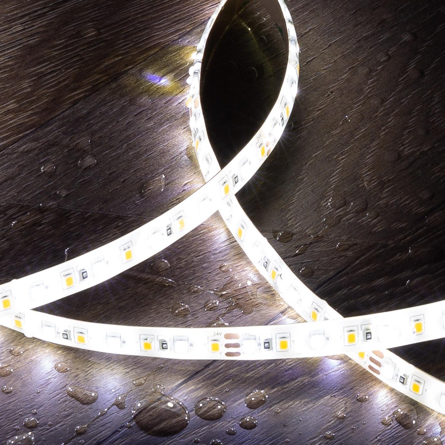 Ruban LED 24V 10W/m 60LED/m 5m IP65 Extérieur/Intérieur